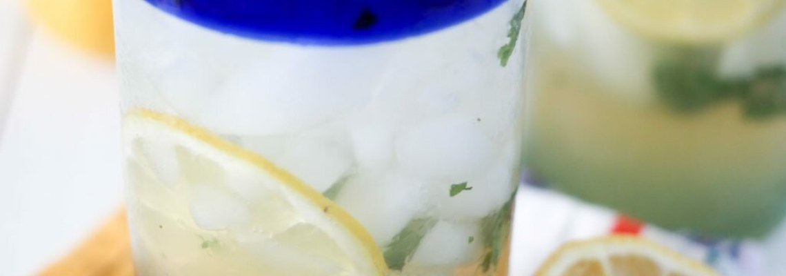 Homemade Ginger Mint Soda